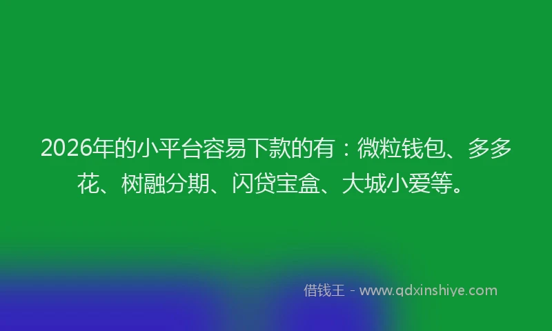 2026年的小平台容易下款的有：微粒钱包、多多花、树融分期、闪贷宝盒、大城小爱等。