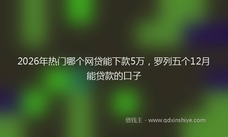 2026年热门哪个网贷能下款5万，罗列五个12月能贷款的口子
