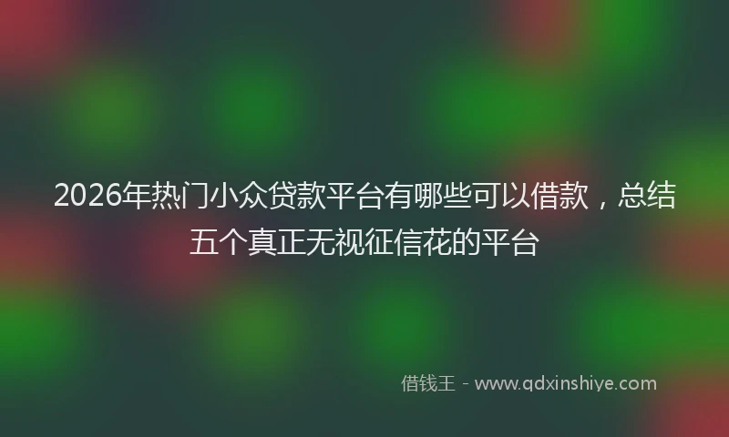 2026年热门小众贷款平台有哪些可以借款，总结五个真正无视征信花的平台