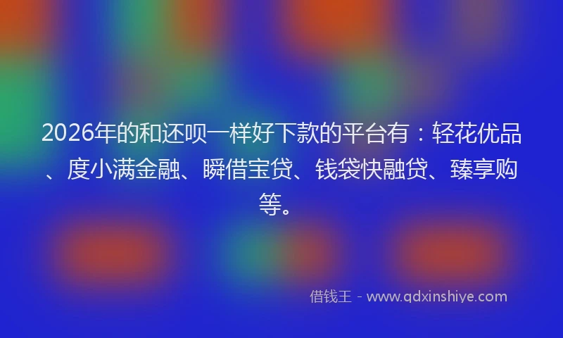 2026年的和还呗一样好下款的平台有：轻花优品、度小满金融、瞬借宝贷、钱袋快融贷、臻享购等。