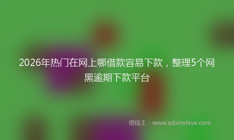 2026年热门在网上哪借款容易下款，整理5个网黑逾期下款平台