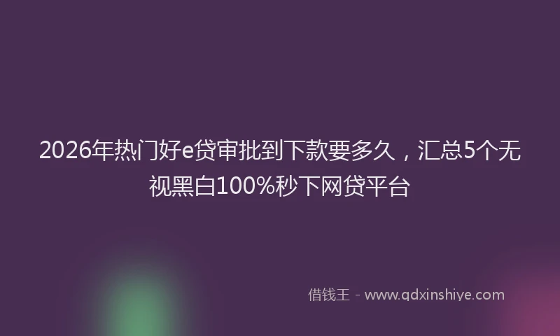 2026年热门好e贷审批到下款要多久，汇总5个无视黑白100%秒下网贷平台