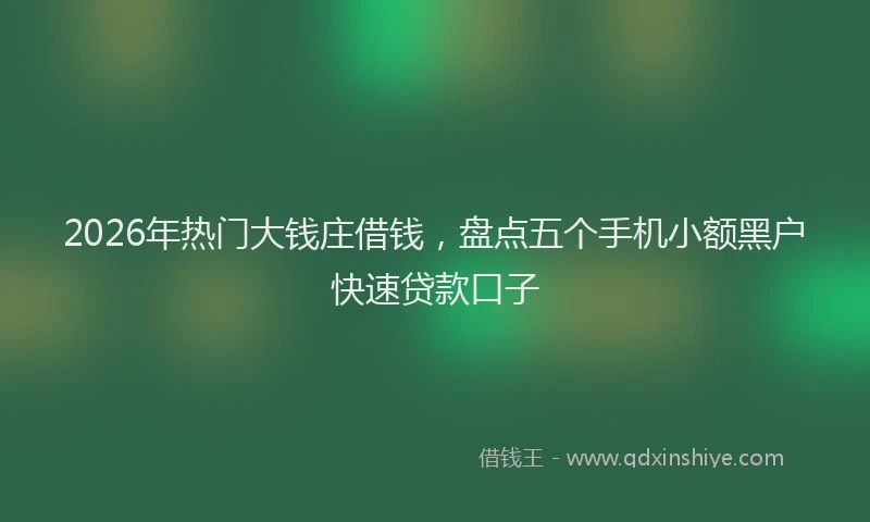 2026年热门大钱庄借钱，盘点五个手机小额黑户快速贷款口子