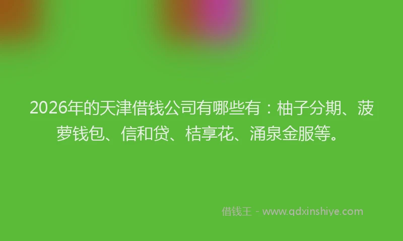 2026年的天津借钱公司有哪些有：柚子分期、菠萝钱包、信和贷、桔享花、涌泉金服等。