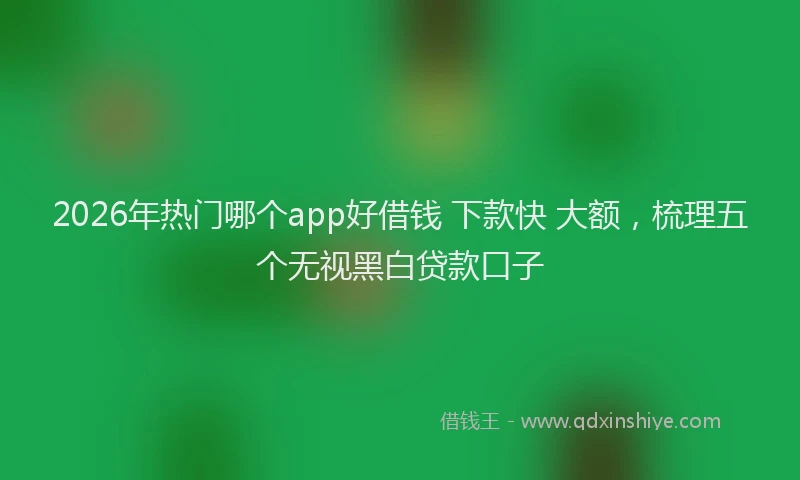 2026年热门哪个app好借钱 下款快 大额，梳理五个无视黑白贷款口子