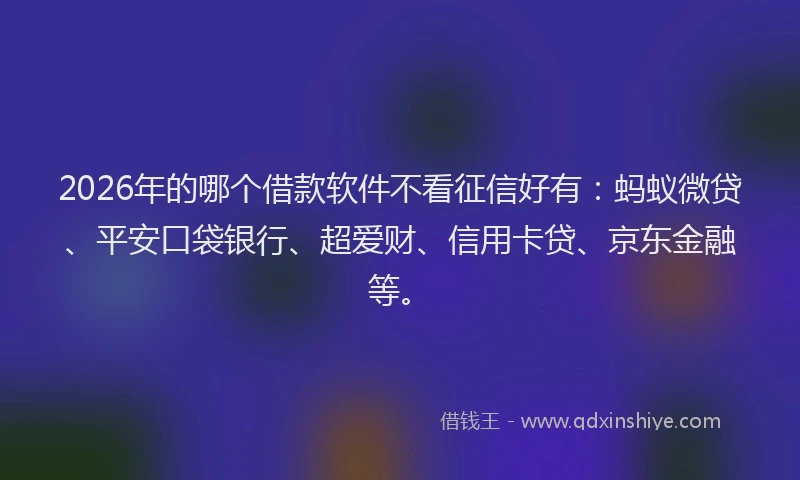 2026年的哪个借款软件不看征信好有：蚂蚁微贷、平安口袋银行、超爱财、信用卡贷、京东金融等。