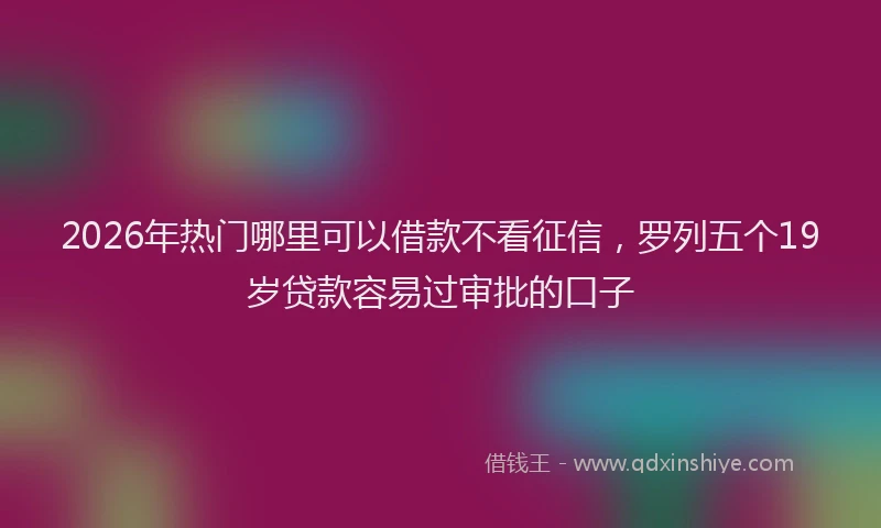 2026年热门哪里可以借款不看征信，罗列五个19岁贷款容易过审批的口子