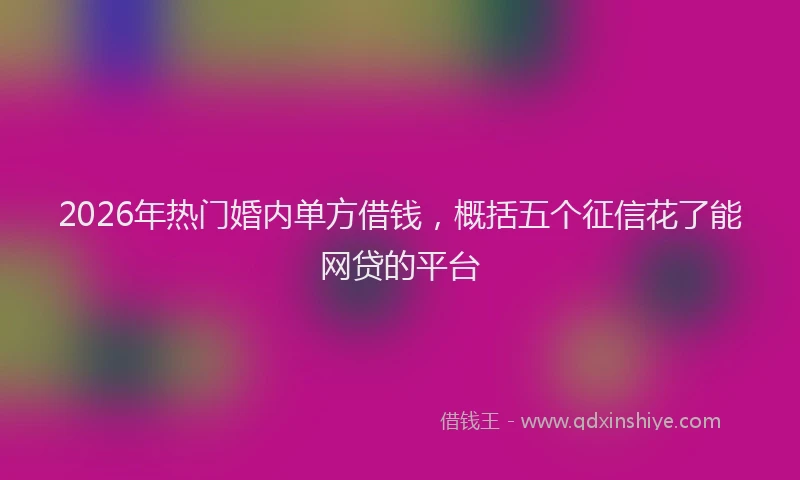 2026年热门婚内单方借钱，概括五个征信花了能网贷的平台