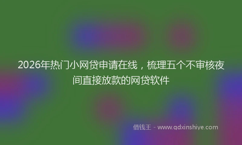 2026年热门小网贷申请在线，梳理五个不审核夜间直接放款的网贷软件