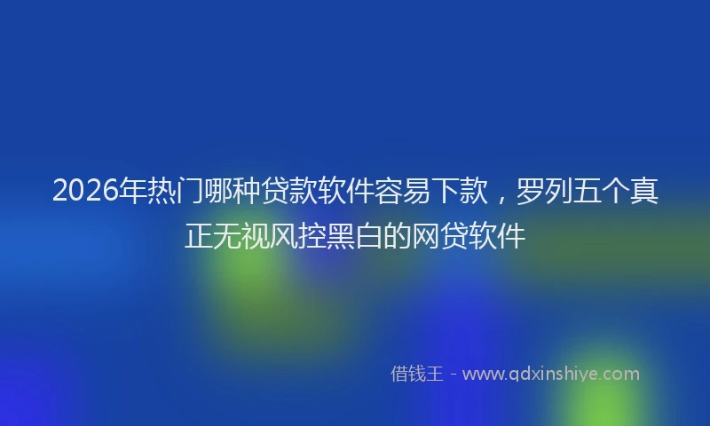 2026年热门哪种贷款软件容易下款，罗列五个真正无视风控黑白的网贷软件