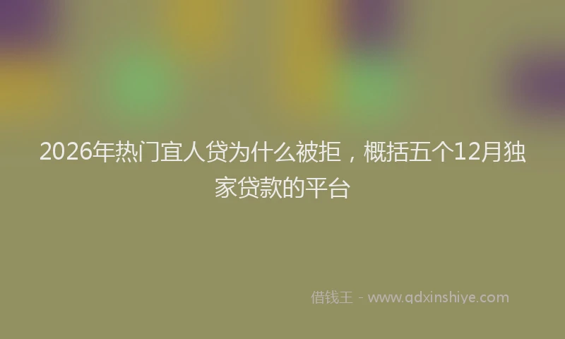 2026年热门宜人贷为什么被拒，概括五个12月独家贷款的平台