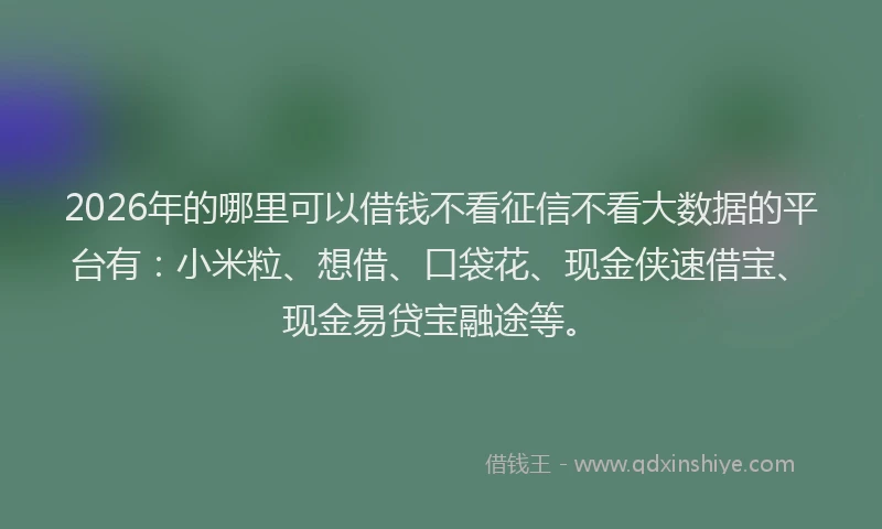 2026年的哪里可以借钱不看征信不看大数据的平台有：小米粒、想借、口袋花、现金侠速借宝、现金易贷宝融途等。