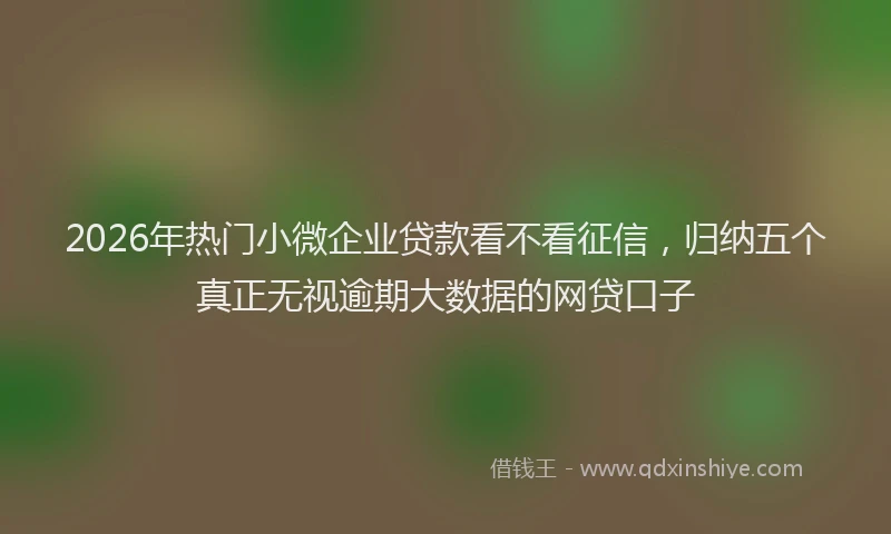 2026年热门小微企业贷款看不看征信，归纳五个真正无视逾期大数据的网贷口子