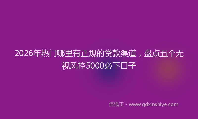 2026年热门哪里有正规的贷款渠道，盘点五个无视风控5000必下口子