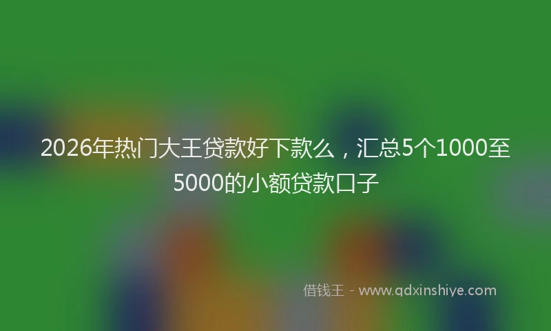 2026年热门大王贷款好下款么，汇总5个1000至5000的小额贷款口子