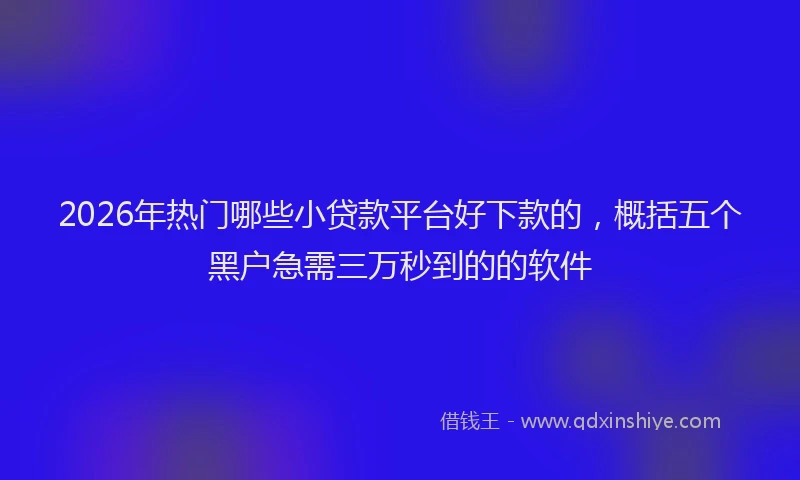 2026年热门哪些小贷款平台好下款的，概括五个黑户急需三万秒到的的软件