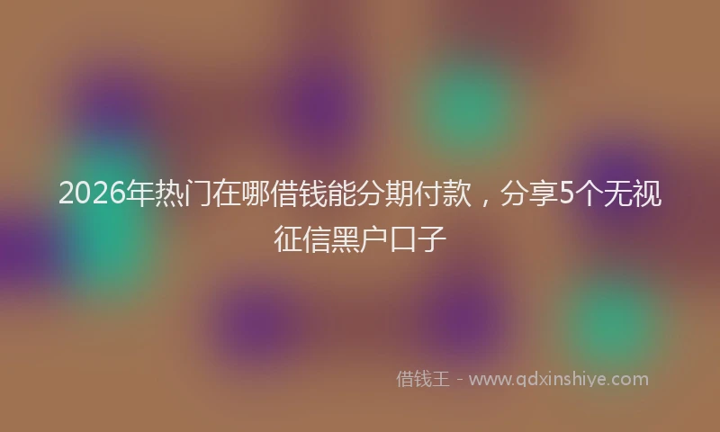 2026年热门在哪借钱能分期付款，分享5个无视征信黑户口子