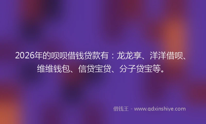 2026年的呗呗借钱贷款有：龙龙享、洋洋借呗、维维钱包、信贷宝贷、分子贷宝等。