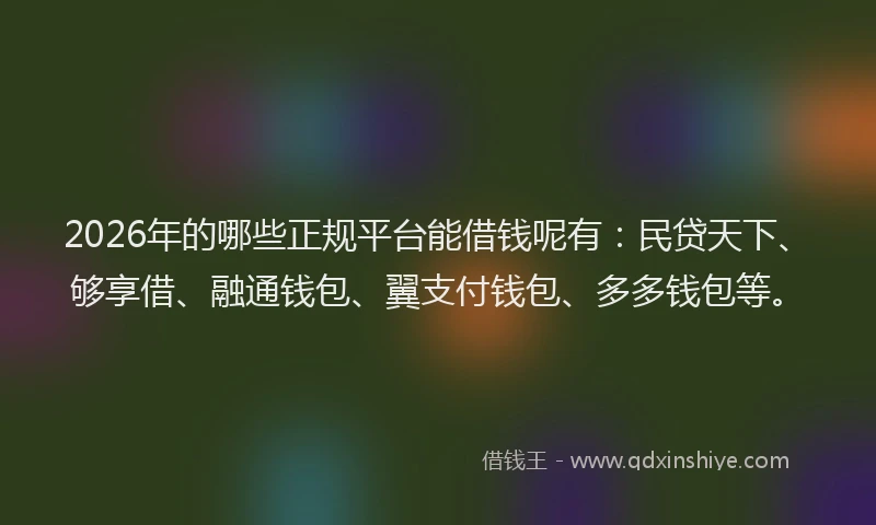 2026年的哪些正规平台能借钱呢有：民贷天下、够享借、融通钱包、翼支付钱包、多多钱包等。