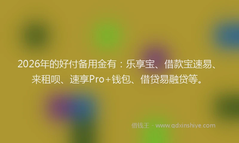 2026年的好付备用金有：乐享宝、借款宝速易、来租呗、速享Pro+钱包、借贷易融贷等。