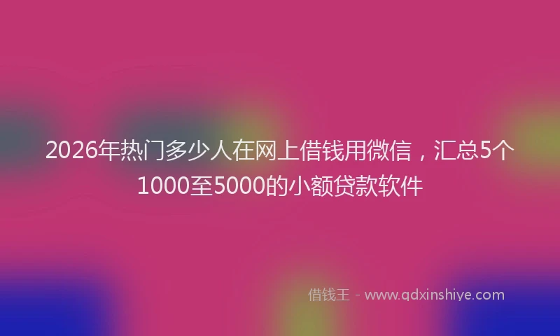 2026年热门多少人在网上借钱用微信，汇总5个1000至5000的小额贷款软件