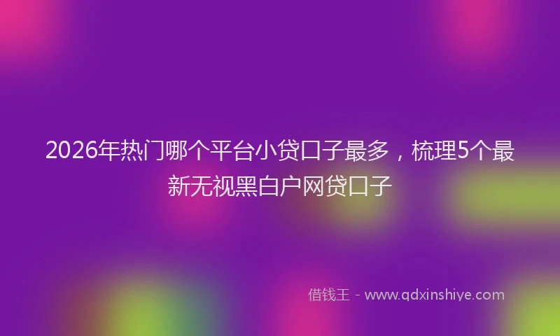 2026年热门哪个平台小贷口子最多，梳理5个最新无视黑白户网贷口子