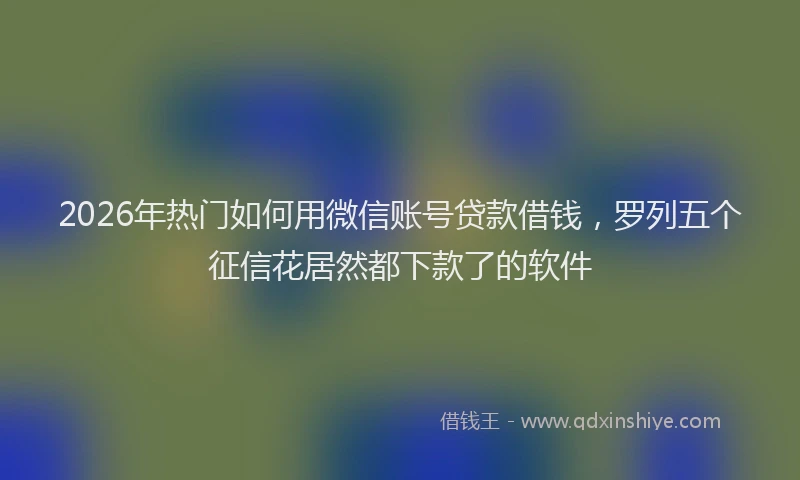 2026年热门如何用微信账号贷款借钱，罗列五个征信花居然都下款了的软件