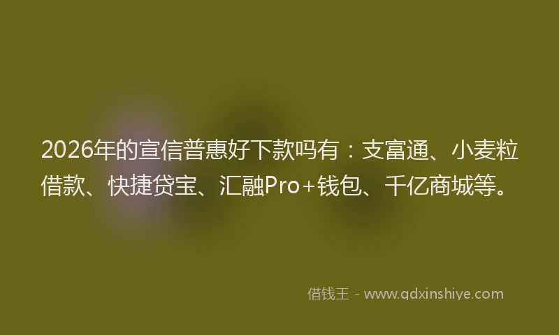 2026年的宣信普惠好下款吗有：支富通、小麦粒借款、快捷贷宝、汇融Pro+钱包、千亿商城等。