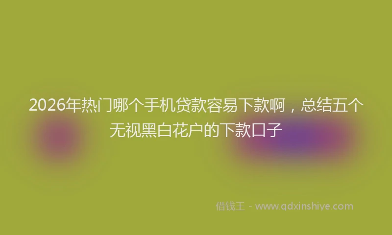 2026年热门哪个手机贷款容易下款啊，总结五个无视黑白花户的下款口子