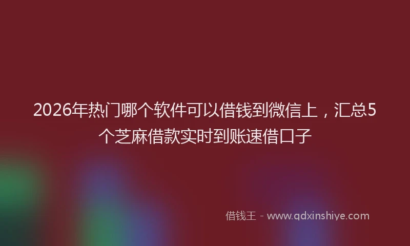2026年热门哪个软件可以借钱到微信上，汇总5个芝麻借款实时到账速借口子