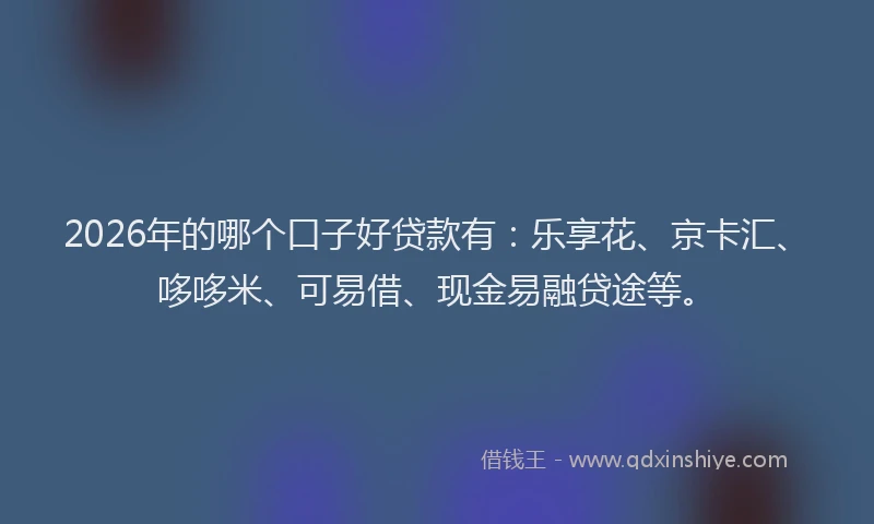 2026年的哪个口子好贷款有：乐享花、京卡汇、哆哆米、可易借、现金易融贷途等。