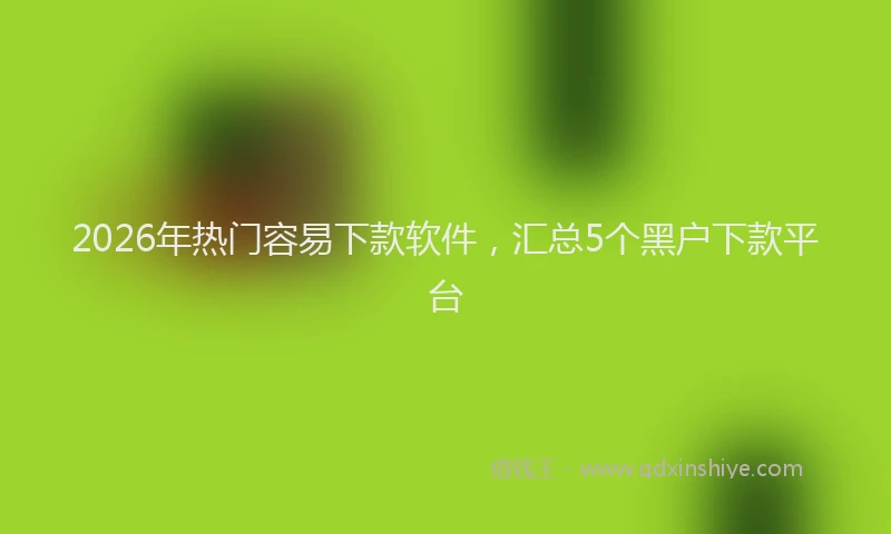 2026年热门容易下款软件，汇总5个黑户下款平台