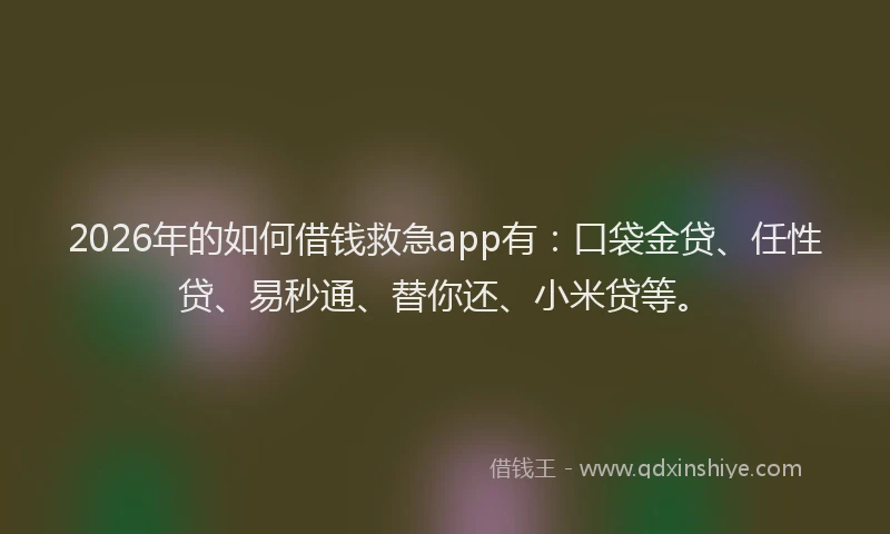 2026年的如何借钱救急app有：口袋金贷、任性贷、易秒通、替你还、小米贷等。