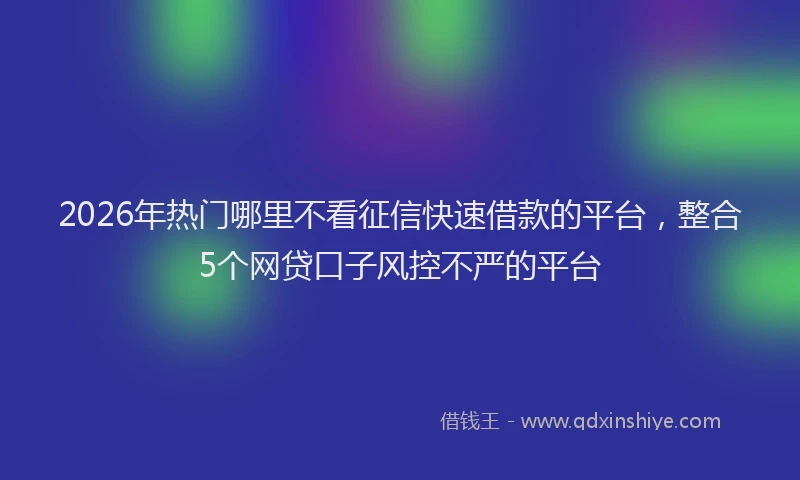 2026年热门哪里不看征信快速借款的平台，整合5个网贷口子风控不严的平台