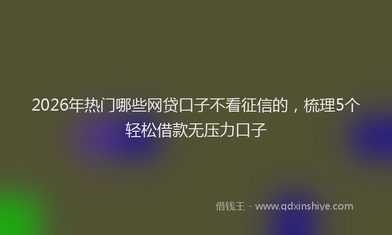 2026年热门哪些网贷口子不看征信的，梳理5个轻松借款无压力口子