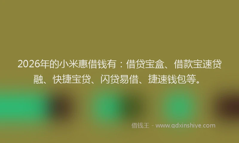 2026年的小米惠借钱有：借贷宝盒、借款宝速贷融、快捷宝贷、闪贷易借、捷速钱包等。