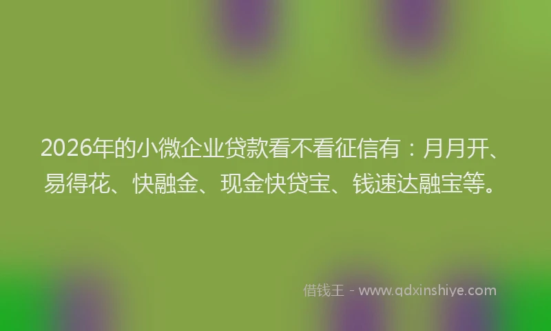 2026年的小微企业贷款看不看征信有：月月开、易得花、快融金、现金快贷宝、钱速达融宝等。