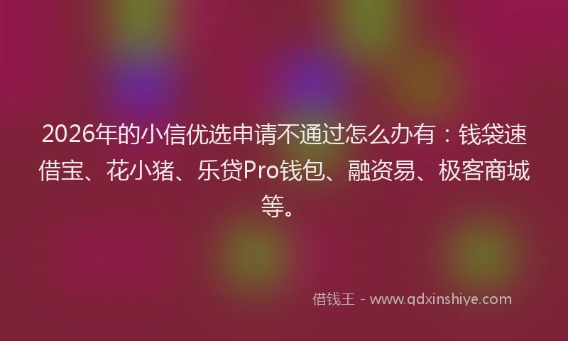 2026年的小信优选申请不通过怎么办有：钱袋速借宝、花小猪、乐贷Pro钱包、融资易、极客商城等。