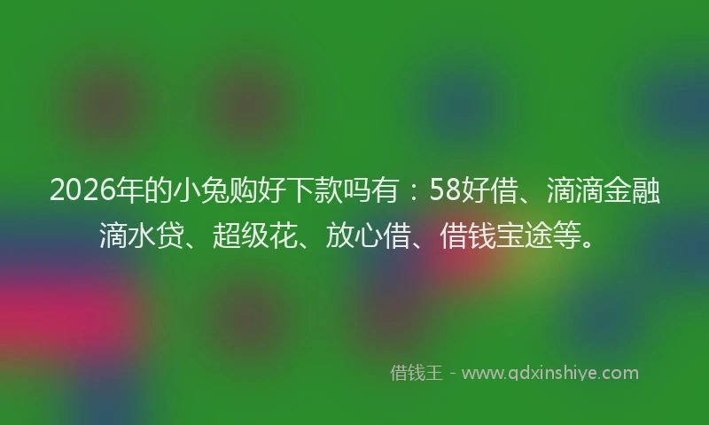 2026年的小兔购好下款吗有：58好借、滴滴金融滴水贷、超级花、放心借、借钱宝途等。