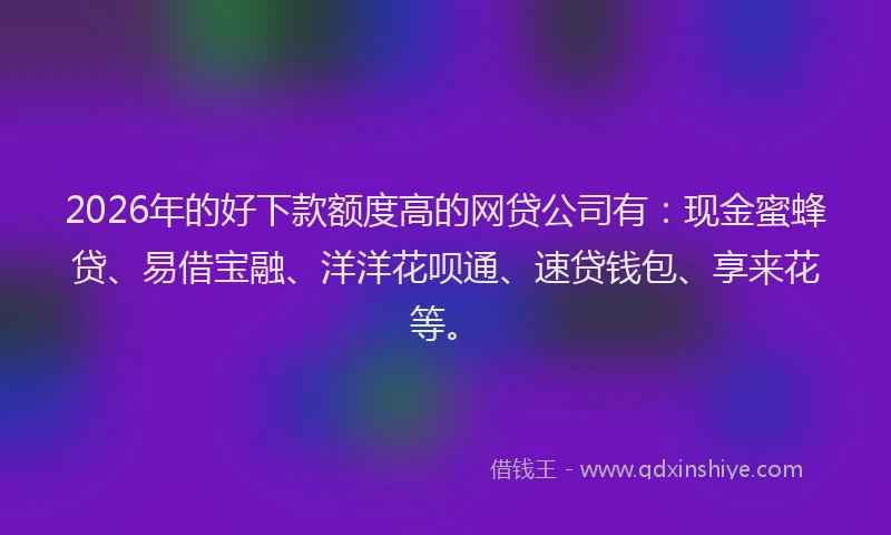 2026年的好下款额度高的网贷公司有：现金蜜蜂贷、易借宝融、洋洋花呗通、速贷钱包、享来花等。