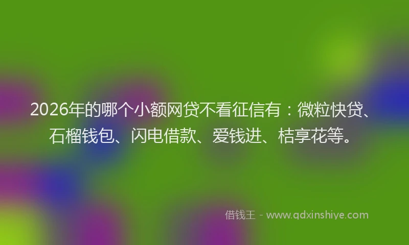 2026年的哪个小额网贷不看征信有：微粒快贷、石榴钱包、闪电借款、爱钱进、桔享花等。