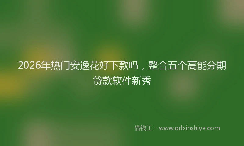 2026年热门安逸花好下款吗，整合五个高能分期贷款软件新秀