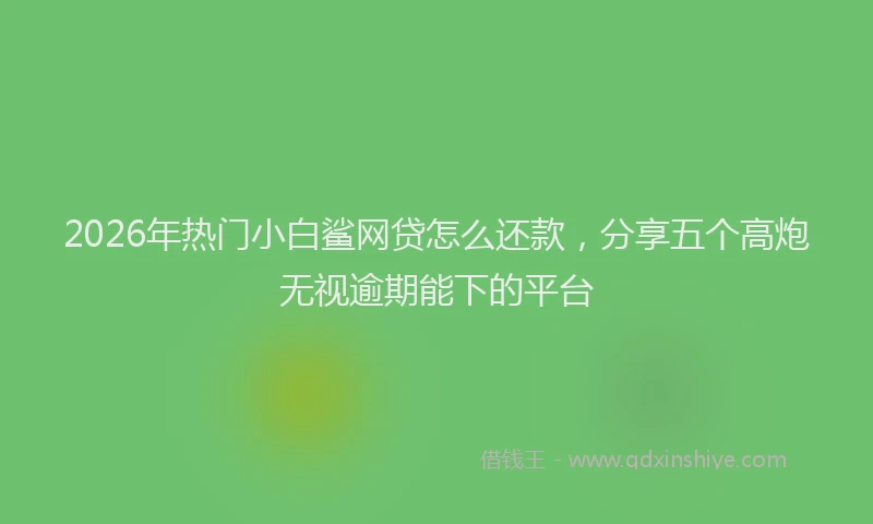 2026年热门小白鲨网贷怎么还款，分享五个高炮无视逾期能下的平台