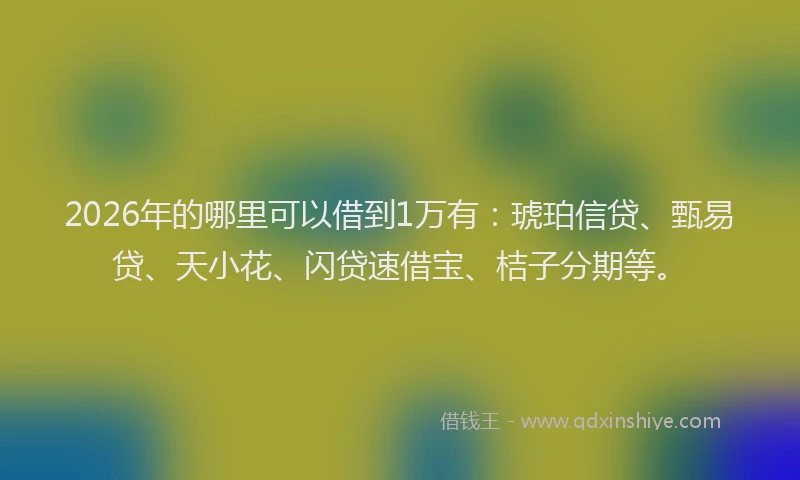 2026年的哪里可以借到1万有：琥珀信贷、甄易贷、天小花、闪贷速借宝、桔子分期等。