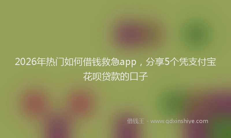 2026年热门如何借钱救急app，分享5个凭支付宝花呗贷款的口子