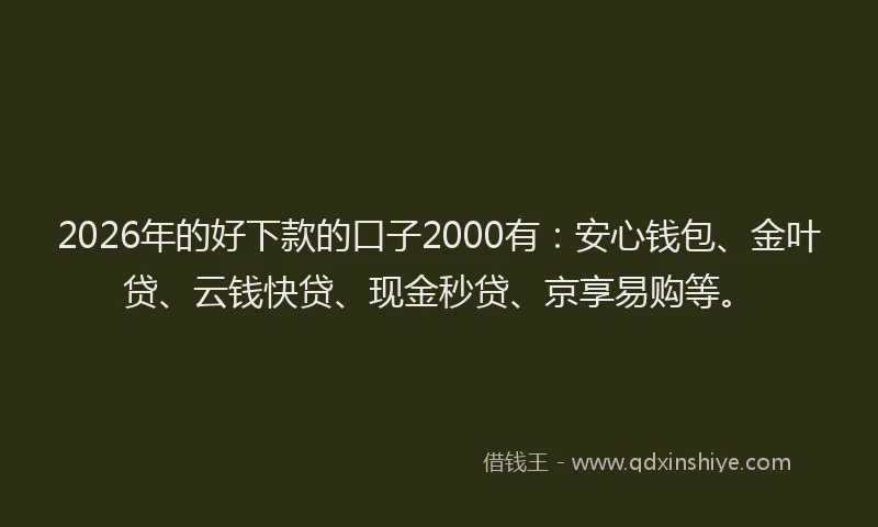 2026年的好下款的口子2000有：安心钱包、金叶贷、云钱快贷、现金秒贷、京享易购等。