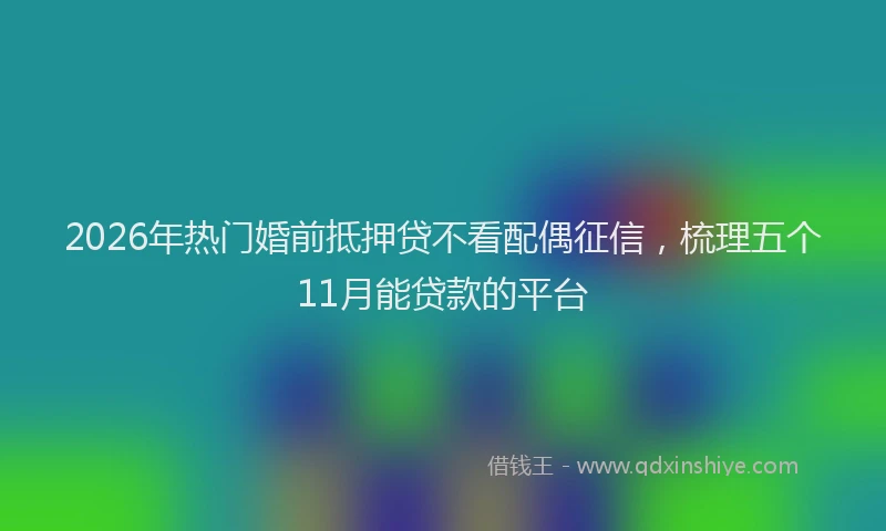 2026年热门婚前抵押贷不看配偶征信,梳理五个11月能贷款的平台