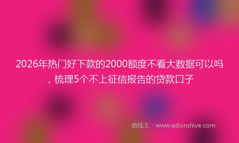 2026年热门好下款的2000额度不看大数据可以吗，梳理5个不上征信报告的贷款口子