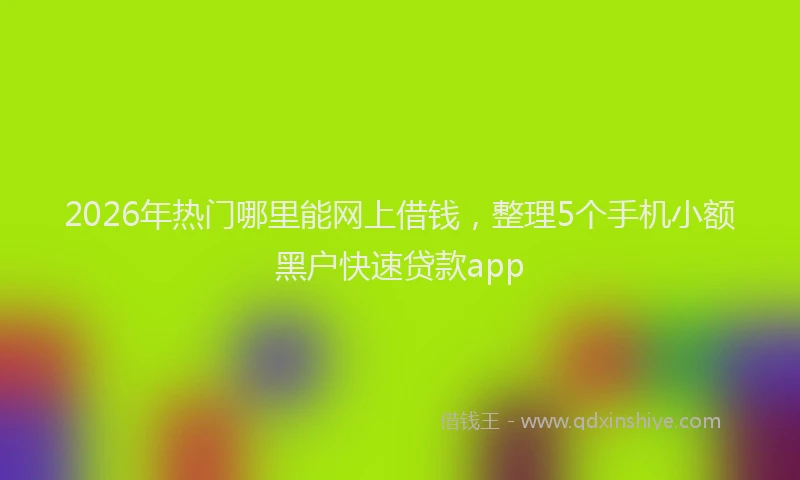 2026年热门哪里能网上借钱，整理5个手机小额黑户快速贷款app