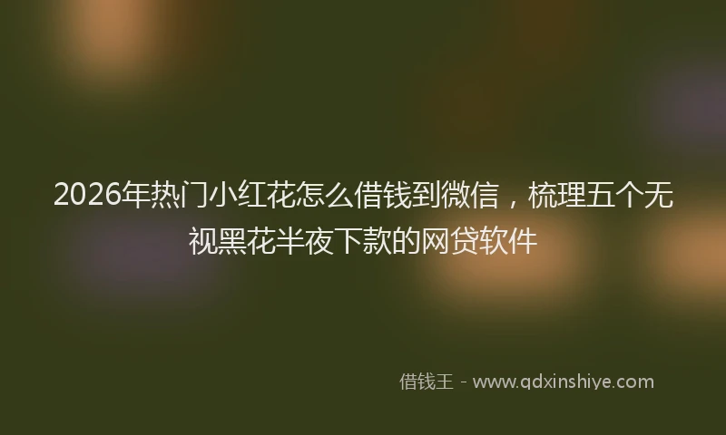 2026年热门小红花怎么借钱到微信，梳理五个无视黑花半夜下款的网贷软件